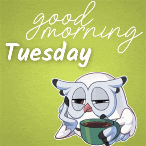 tuesday gif funny|happy tuesday gif cute.